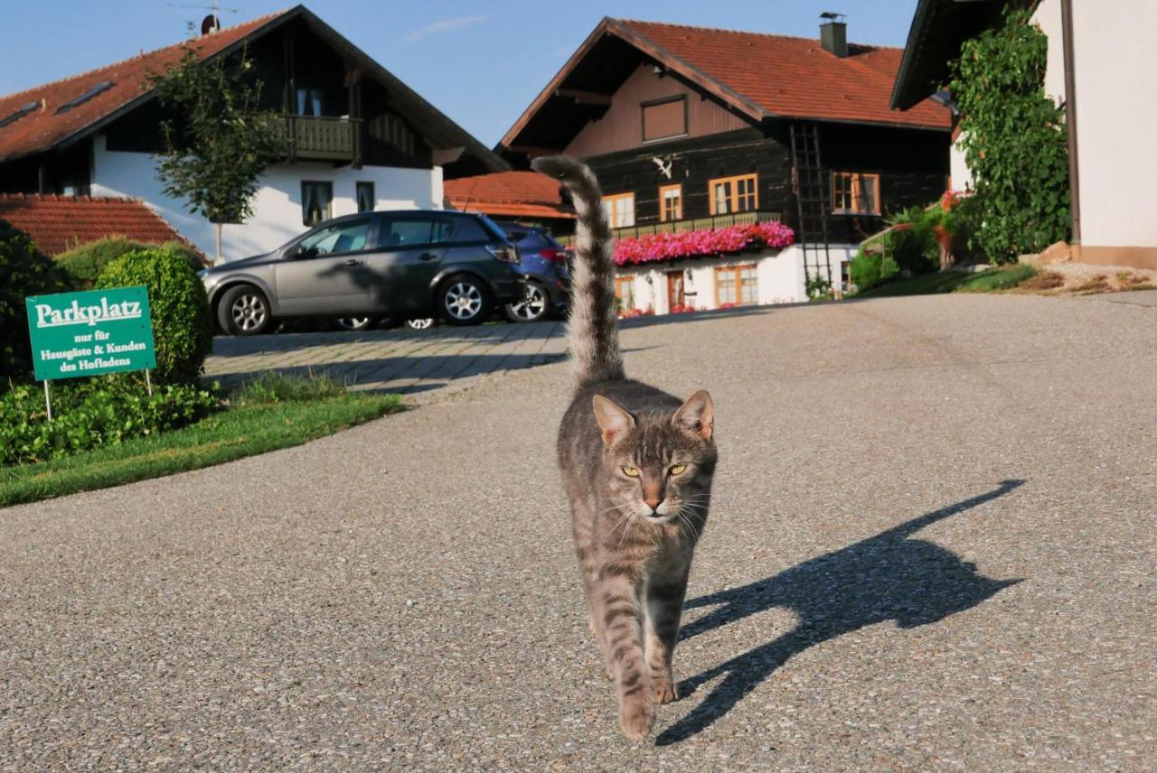 Giglerhof Lägenhet Bad Birnbach Exteriör bild