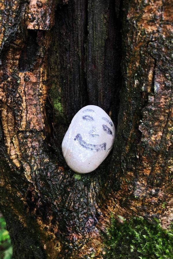 Giglerhof Lägenhet Bad Birnbach Exteriör bild
