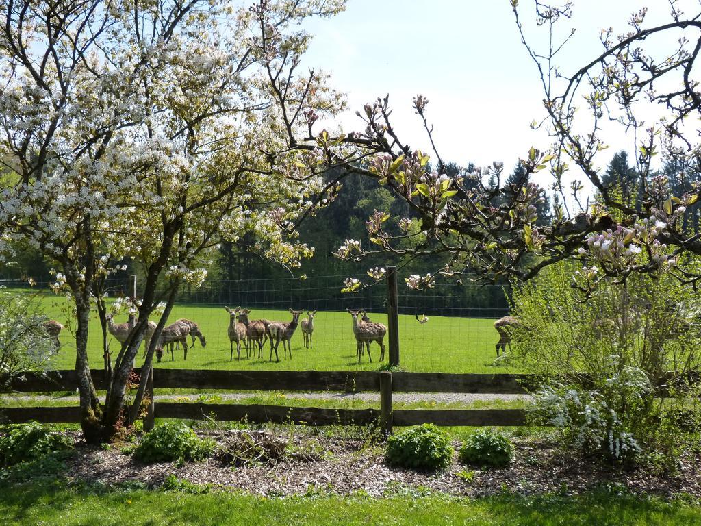 Giglerhof Lägenhet Bad Birnbach Exteriör bild