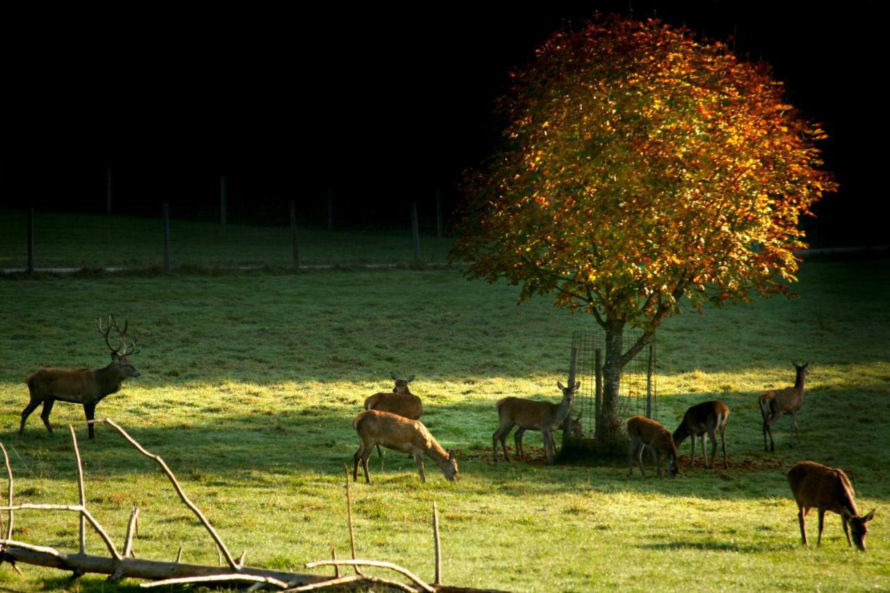 Giglerhof Lägenhet Bad Birnbach Exteriör bild